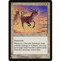 Graceful Antelope