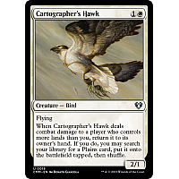 Cartographer's Hawk