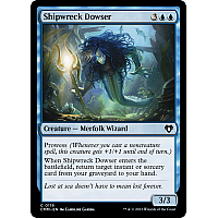 Shipwreck Dowser