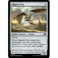 Pilgrim's Eye