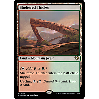 Sheltered Thicket