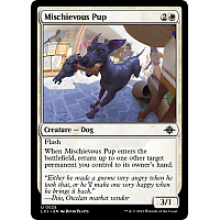 Mischievous Pup