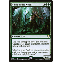 Voice of the Woods