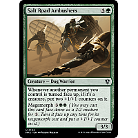 Salt Road Ambushers
