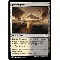 Forlorn Flats (Foil)