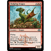 Fledgling Dragon (Foil)