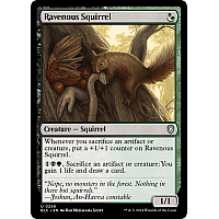 Ravenous Squirrel
