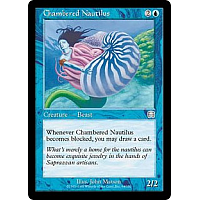 Chambered Nautilus