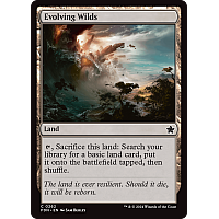 Evolving Wilds