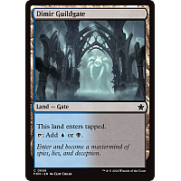 Dimir Guildgate