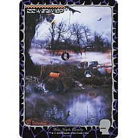 Swamp (Foil)