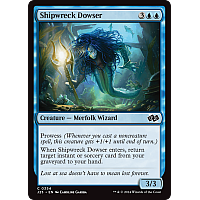Shipwreck Dowser