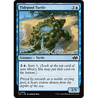 Tidepool Turtle