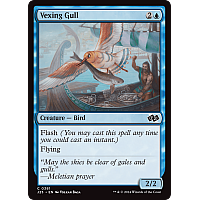 Vexing Gull