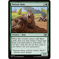 Pothole Mole (Foil)