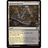 Scoured Barrens (Foil)