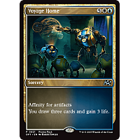 Voyage Home