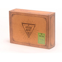 -Lånebiblioteket- Ghost in the Attic