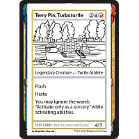 Terry Pin, Turboturtle