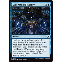 Experimental Augury (Foil)