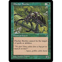 Pincher Beetles