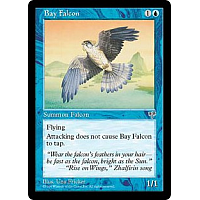 Bay Falcon