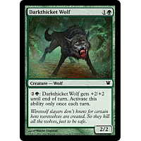 Darkthicket Wolf
