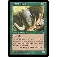 Wild Elephant