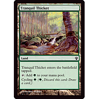 Tranquil Thicket
