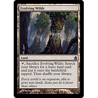 Evolving Wilds