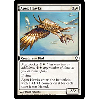 Apex Hawks