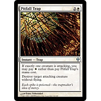 Pitfall Trap