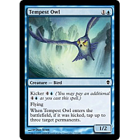 Tempest Owl