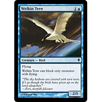 Welkin Tern