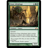 Giant Adephage