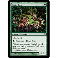 River Boa
