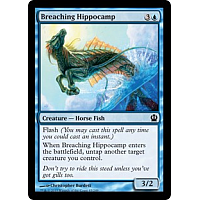 Breaching Hippocamp