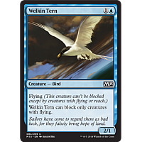 Welkin Tern