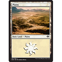 Plains