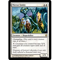 Mirror Entity