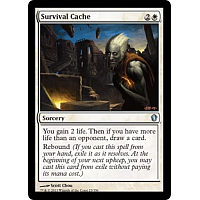 Survival Cache