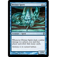 Diviner Spirit
