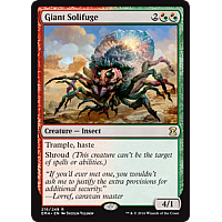 Giant Solifuge