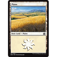 Plains