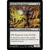 Black Poplar Shaman