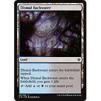 Dismal Backwater