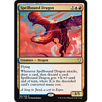 Spellbound Dragon