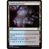 Dismal Backwater