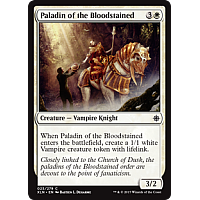 Paladin of the Bloodstained