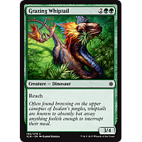 Grazing Whiptail
